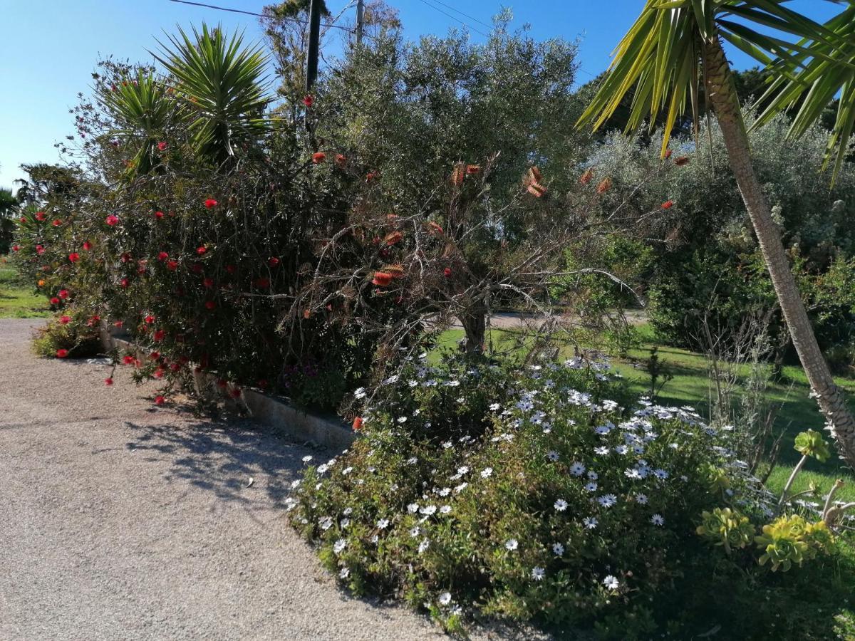 Il Patio Alghero Santa Maria la Palma Exteriér fotografie